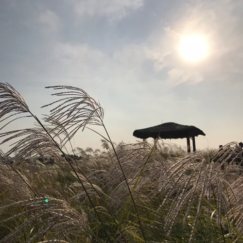 으리으리