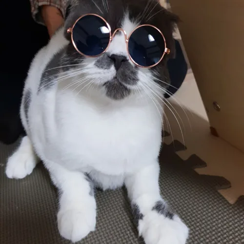 진빈영