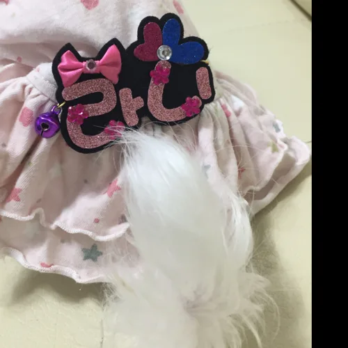 까만콩라니
