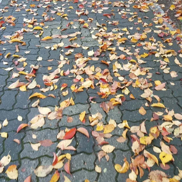 편지