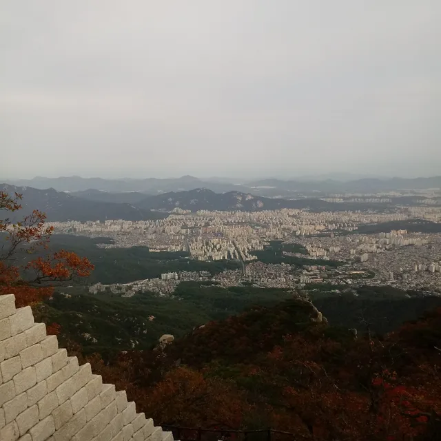 지서태