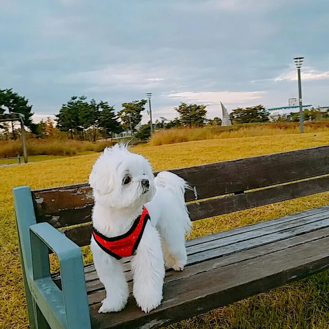 늘바다