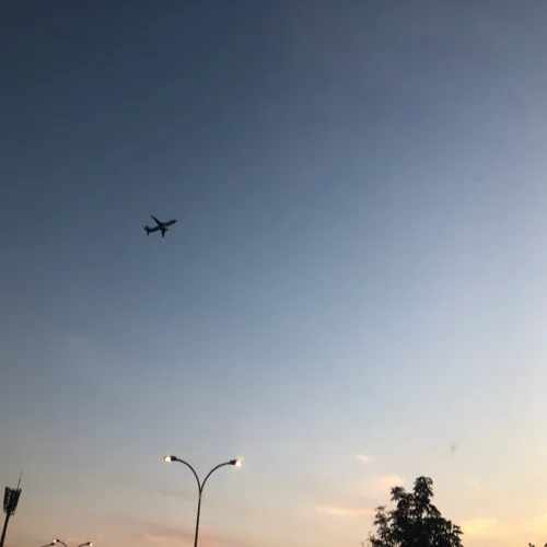 힠힠코무리