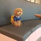 튜나