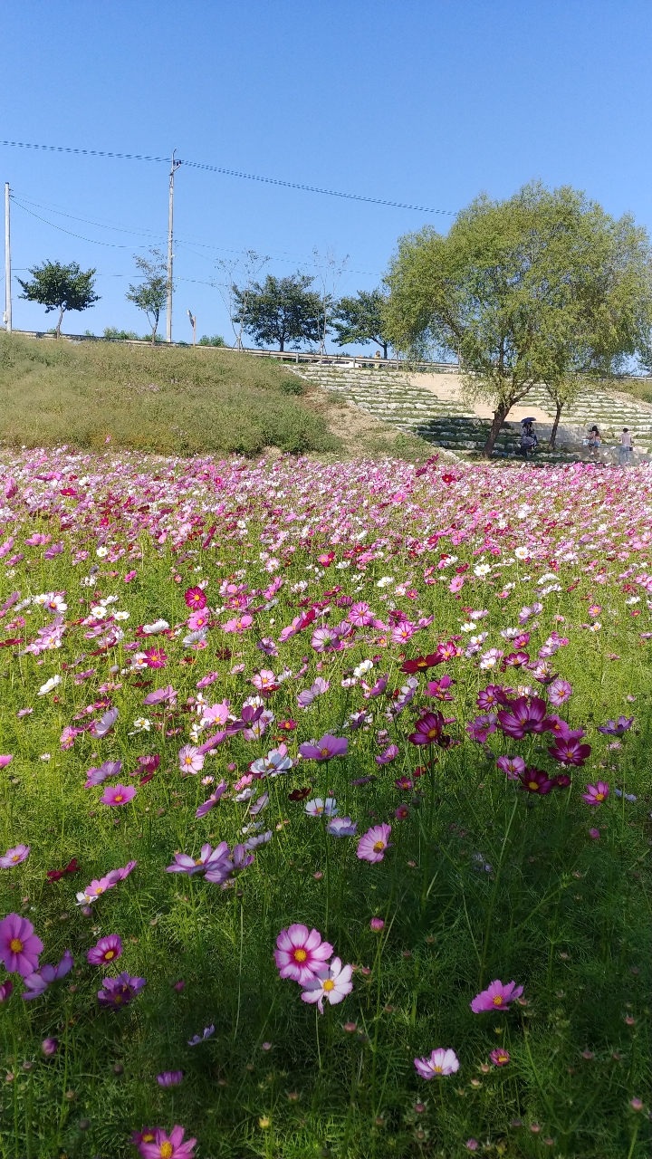 뽀롱