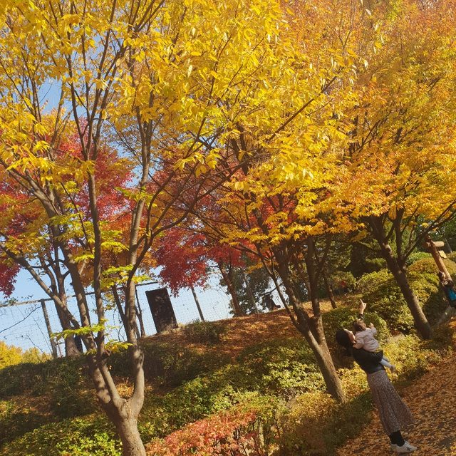 오늘도봄날