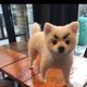 콘칩