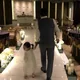 서하파파
