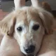 토리만세