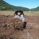 천문동박사