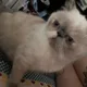 하현