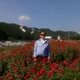 삐삐아줌마