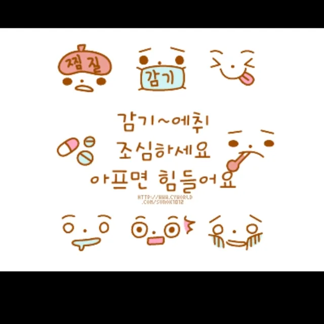 보배