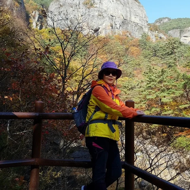 복동이