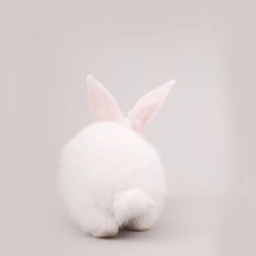 슈언니