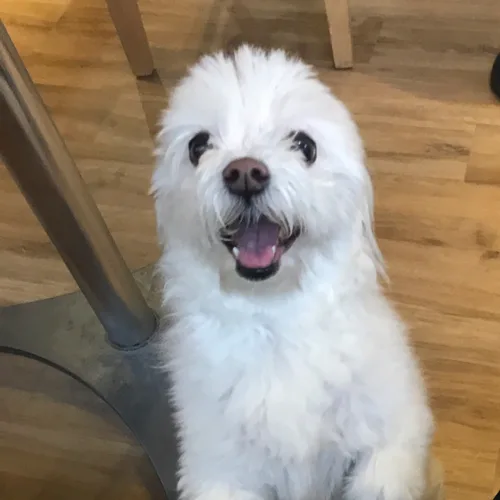 물뽐이