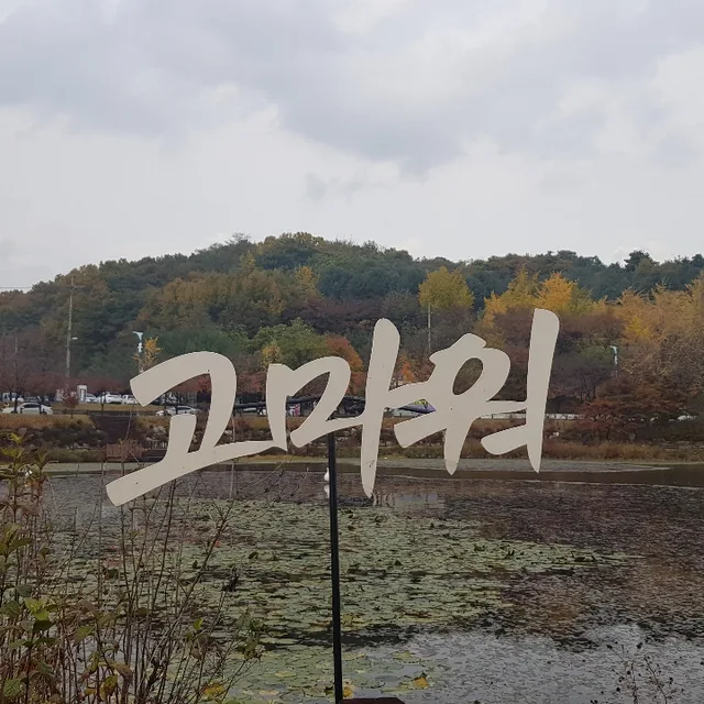 고마워