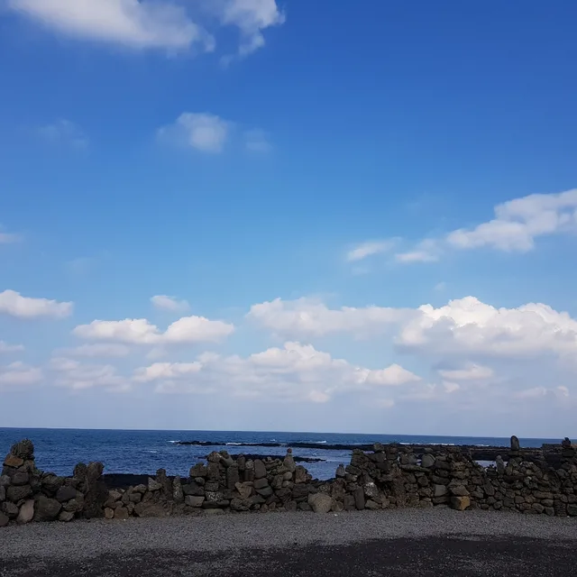 동글된장