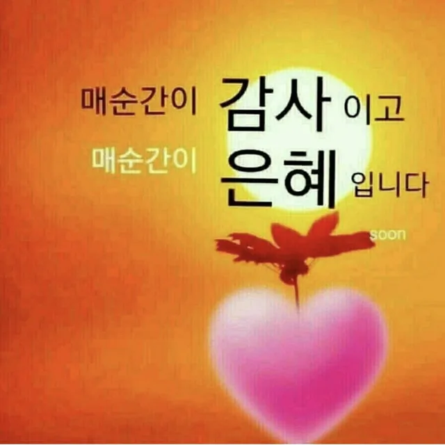 미찌