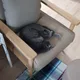 이준세
