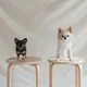 멍구덕구