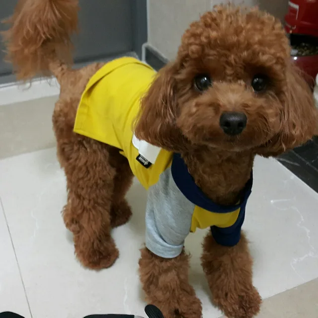 곰아곰아