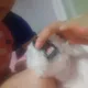 또또