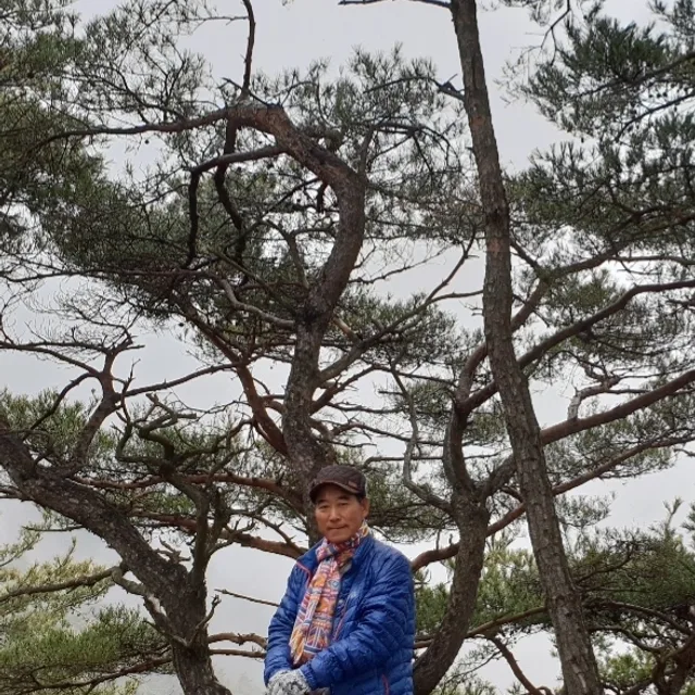 어설픈마당쇠