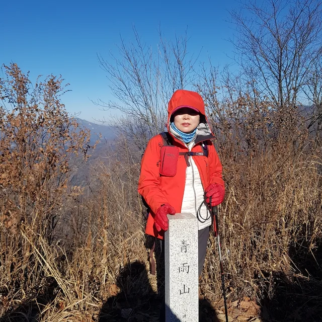 흑장미