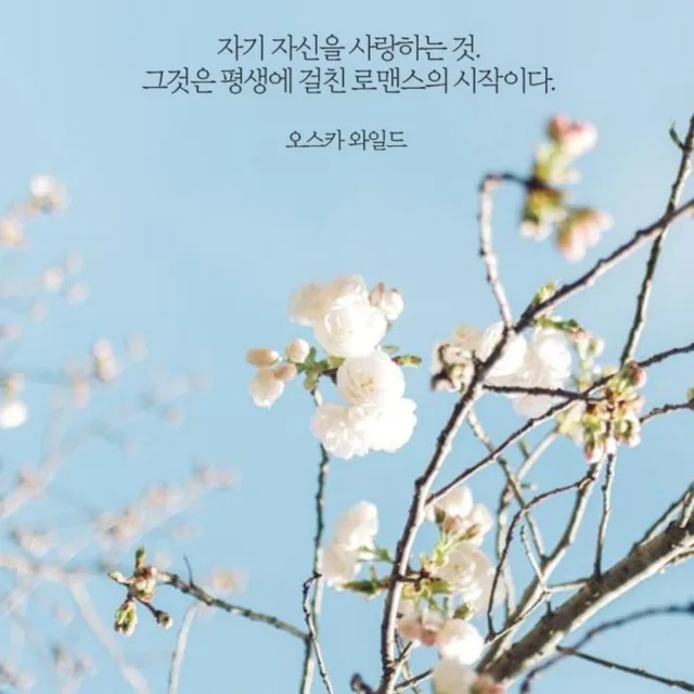 엄니