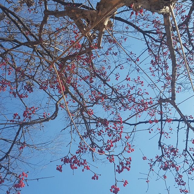 풍경소리