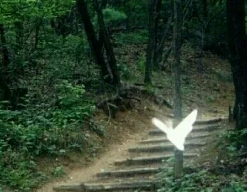 갈증엔염산