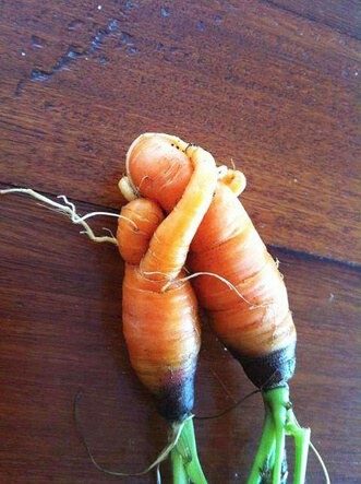 리뷰 프로필 이미지