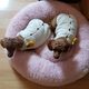 미세스고