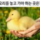 미모의벗