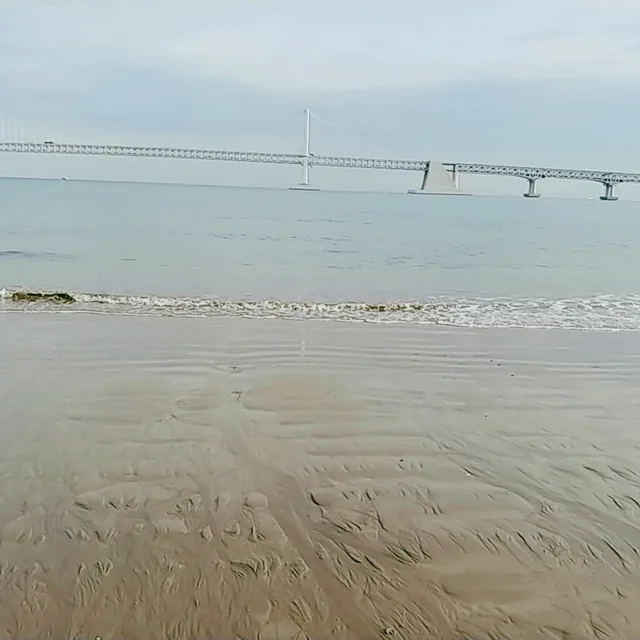토깽이