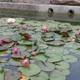 기린과별