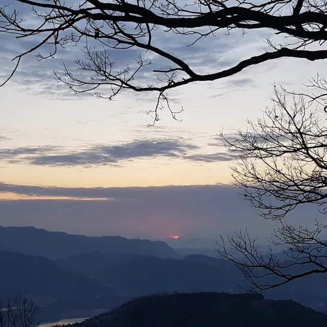 보경압쥐