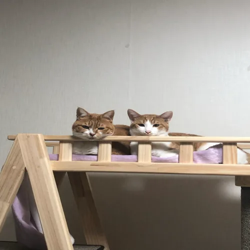 우이타