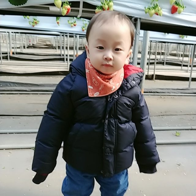 리필