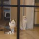 포도송이