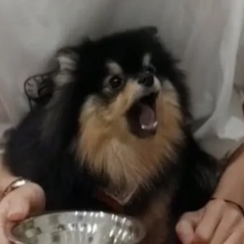 연탄