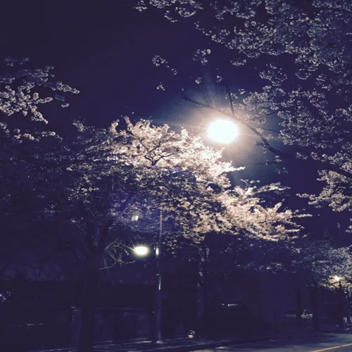 버터멜론