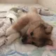 부평동동