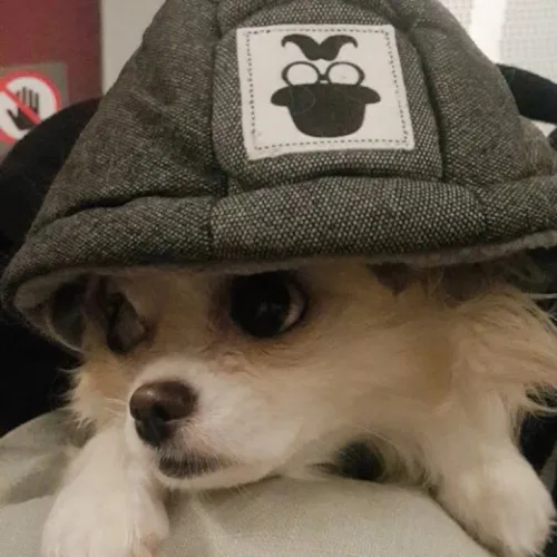 하느