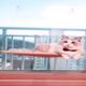미오