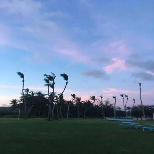 달콤한인생