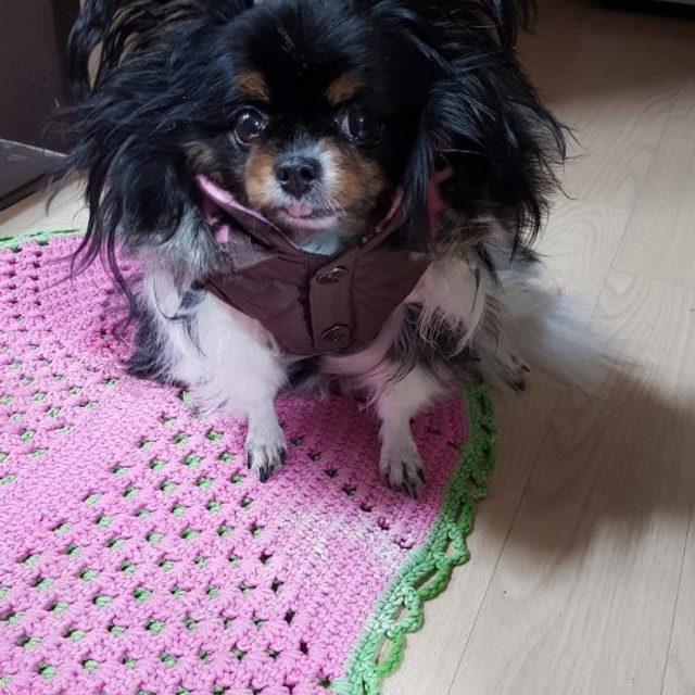 쇼핑카트