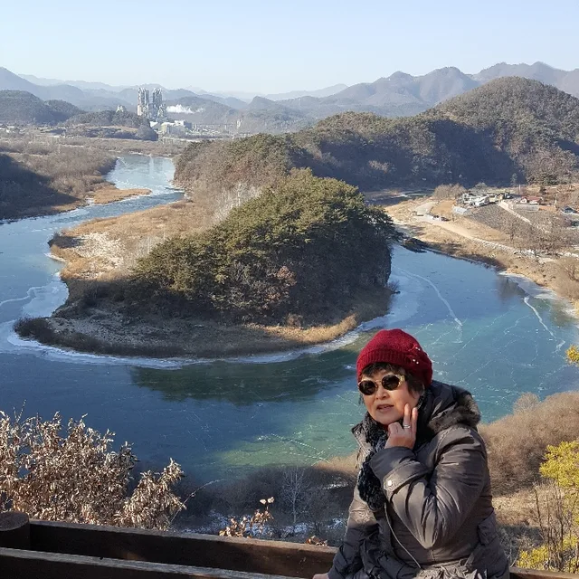 무궁화꽂