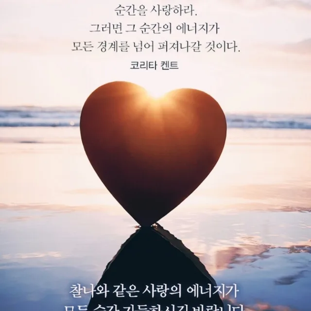사랑비